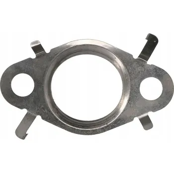 Těsnění výfuku ELRING 482.580 Těsnění, AGR ventil (482.580)