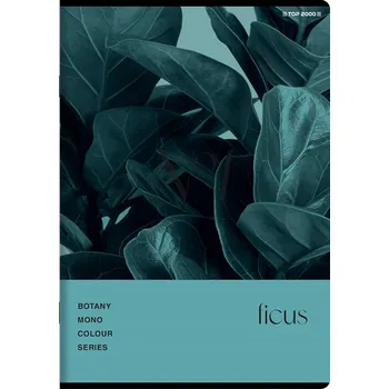 Sešit Sešit A5 linkovaný TOP-2000 60 listů