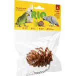 Rio Cedrová šiška 1 ks