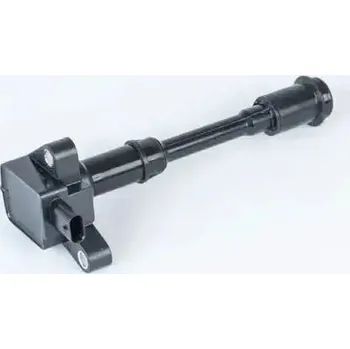 Zapalovací cívka Zapalovací cívka BorgWarner ZSE203