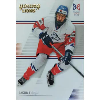 Sběratelská karetní hra Jakub Fibigr