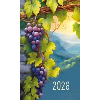 Diář Školní diář 2026 A6 Michalczyk I Prokop vícebarevný