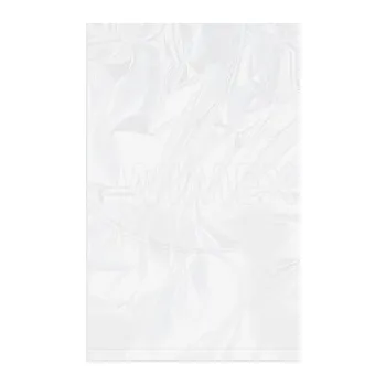 Sáček plochý (LDPE) silný transparentní 30 x 50 cm [100 ks]