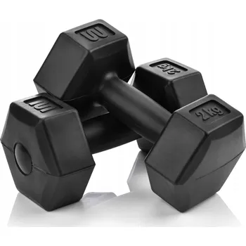 ČINKY SADA BITUMENOVÝCH ČINEK 2x2kg FITNESS POSILOVNA