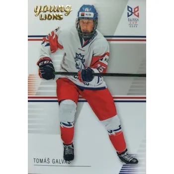 Sběratelská karetní hra Tomáš Galvas