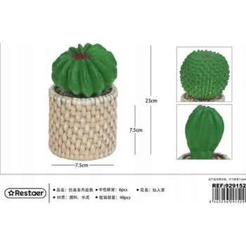 Květináč Rest.aer - Sukulenty v květináči 13 cm