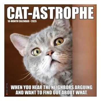 Kalendář Cat-Astrophe 2026 12 X 12 Wall Calendar (EN)