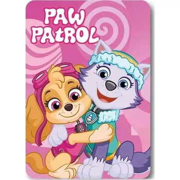 Dětská deka Fleecová deka Tlapková patrola 100x140 cm - Skye