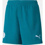 Puma Blue 1218581 13-14