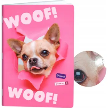 Sešit Sešit A4 s mřížkou Happy Color, 60 listů