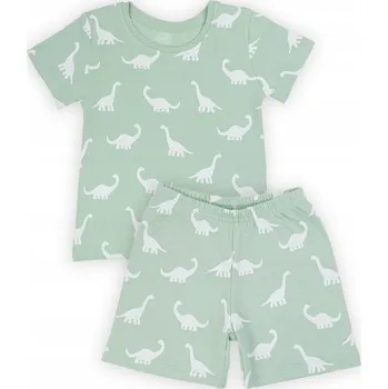 Chlapecké pyžamo Chlapecké pyžamo s krátkým rukávem Nicol Iwo 104