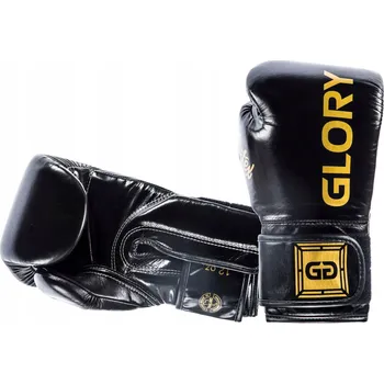 Boxerské rukavice Boxerské rukavice Fairtex BGVG1 10 oz