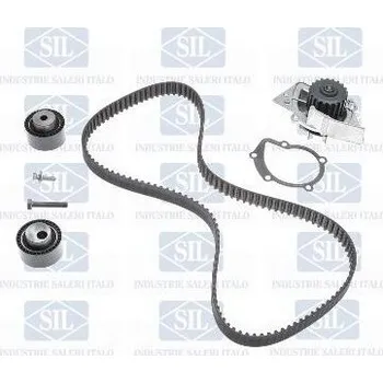 Vodní pumpa motoru sada rozvodů INA, vodní čerpadlo SALERI