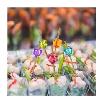 Obraz Párátka Arpex 12 cm 24 ks dřevěná