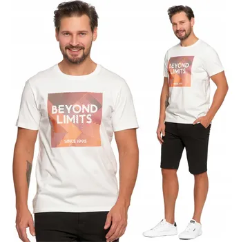 Pánské tričko Pánské Tričko s krátkým rukávem, 100% bavlna s potiskem MORAJ XL