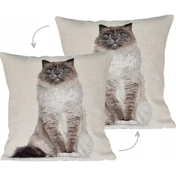 Povlak na polštářek Dekorační povlak na polštář IRYS 45 x 45 cm