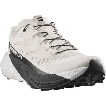 Pánská běžecká obuv Salomon Pulsar M L47999900 - vanilla ice/black/silver cloud 47 1/3