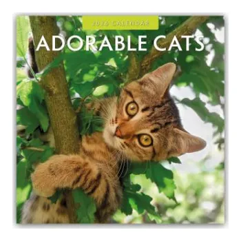 Diář Adorable Cats - Liebenswerte Katzen 2026 - 16-Monatskalender (EN)