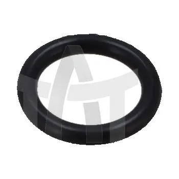 Těsnicí kroužek DAF 1634851