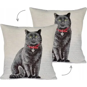 Povlak na polštářek Dekorační povlak na polštář IRYS 45 x 45 cm