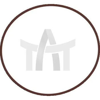 Těsnicí kroužek IVECO 17292281