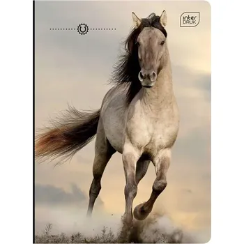 Sešit A5 s linkami Interdruk, 32 listů