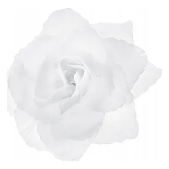 Obraz Dekorace na auto – květiny, vícebarevná