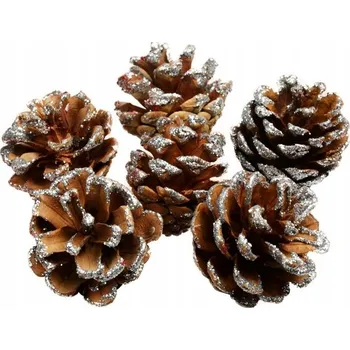 Vánoční dekorace Přírodní šišky se třpytkami 6 ks - Vánoční a zimní dekorace