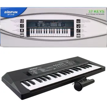 Hudební nástroj pro děti Elektronické piáno na baterie s USB napájením pro děti