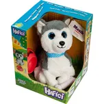 Hafíci II. Maxík - Husky CZ