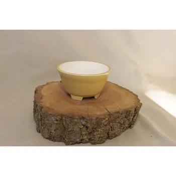 Yixing keramická miska 12,3x12,3x6,5cm Barva: Zelená