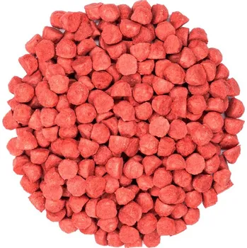 Sušená potravina Jahody mrožený váha 100g