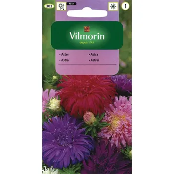 Semeno ASTRA ČÍNSKÁ CHRYZANTHÉMOKVĚTÁ - SMĚS / Callistephus chinensis (L.) NESS.