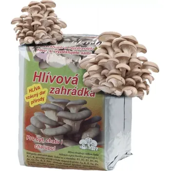 Substrát Substrát - hlíva ústřičná | Hlívová zahrádka pro pěstování hlívy v bytech, chatách i chalupách.
