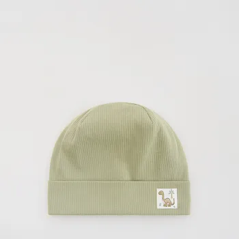 Čepice Reserved - Čepice s nášivkou - světle zelená - 602IL-70X - 602IL-70X-3Y5