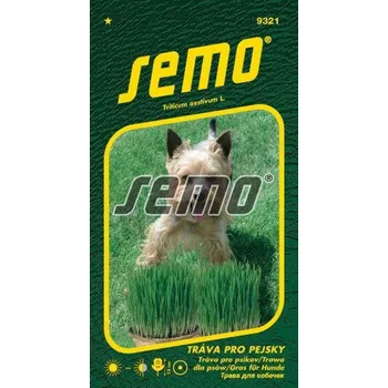 Semeno Semo Tráva pro pejsky