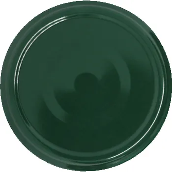Zavařovací pomůcka Tecnocap Víčko TO 66 tmavě zelené RSB paster R47