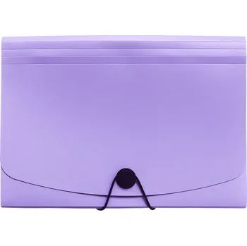 Archivační box Praktická složka Brilla na dokumenty A4, 13 kapes, gumička, fialová