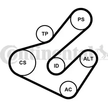 Rozvod motoru CONTITECH Sada drážkových klínových řemenů CTT 7PK1795K2