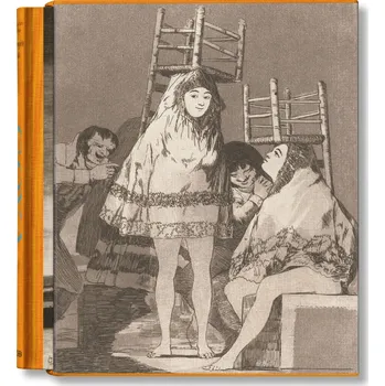 Populárně naučná literatura pro dospělé Goya: The Complete Prints