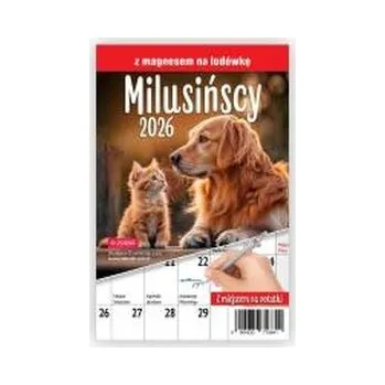 Kalendář Kalendarz 2026 A5 miesięczny na lodówkę