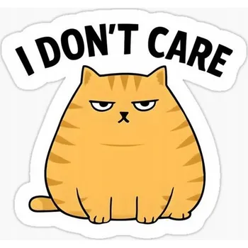 Fototapeta Nažehlovačka Termo Aplikace Nálepka na Oblečení I DONT CARE TLUSTÝ KOCOUR