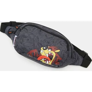 Ledvinka Sinsay - Ledvinka s potiskem Looney Tunes - šedá - 764GX-90X - 764GX-90X-ONE