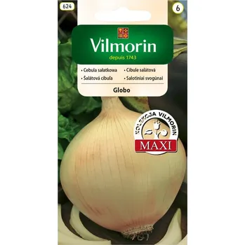 Semeno CIBULE JARNÍ MAXI - GLOBO / Allium cepa L.