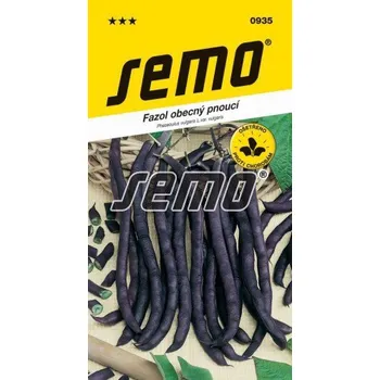 Zahrada Semo Fazol obecný pnoucí purple podded climbing