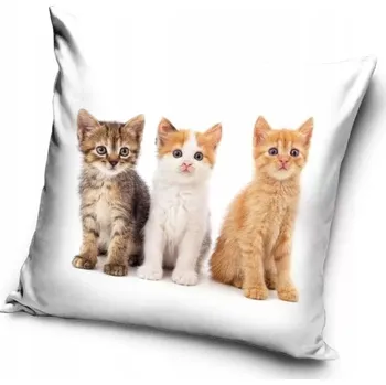 Povlečení Kočičí paní Polštář se třemi koťátky (povlak)