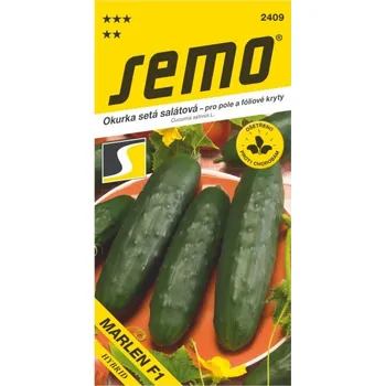 Semeno Okurka salátová Marlen F1