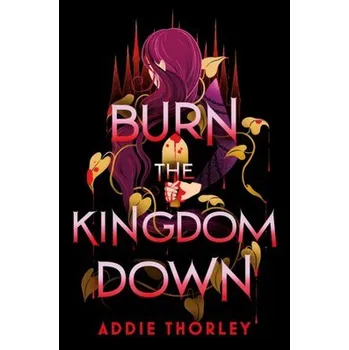 Kniha Burn the Kingdom Down