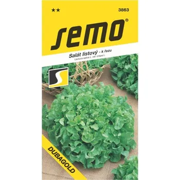 Semeno SEMO Salát listový Dubagold