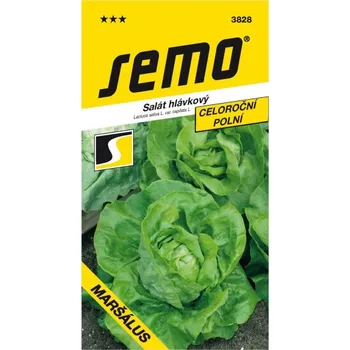 Semeno Salát hlávkový Maršálus 0,6 g
